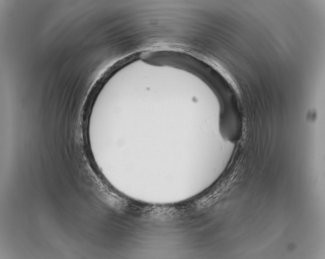 X0000096430972200802211143
