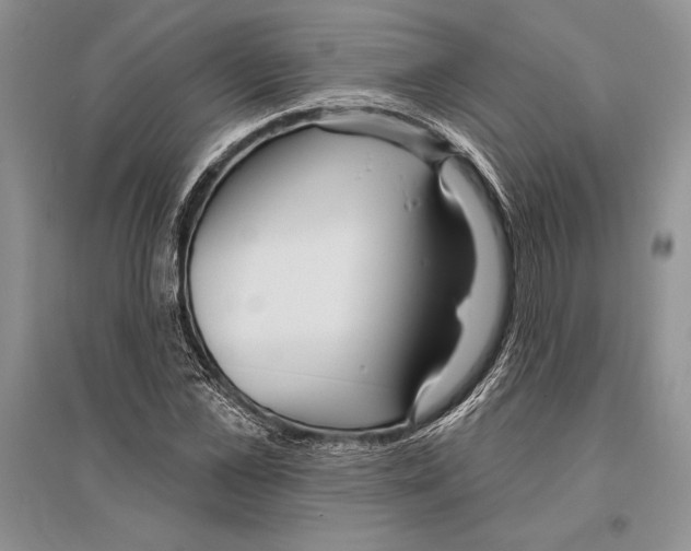 X0000096430973200802211143