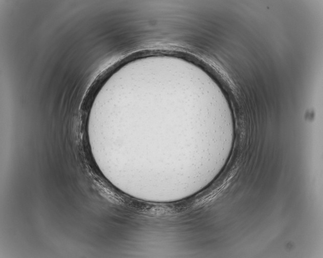 X0000096430974200802211143