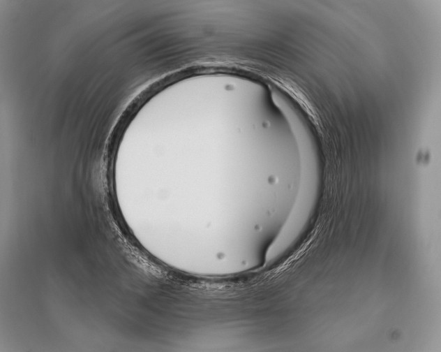X0000096430976200802211143