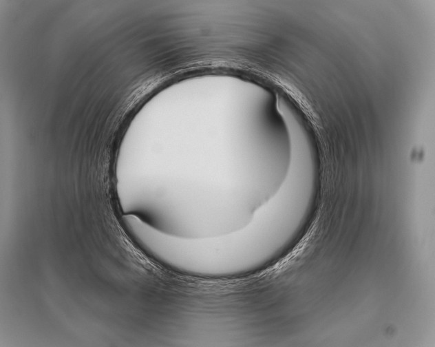 X0000096430977200802211143