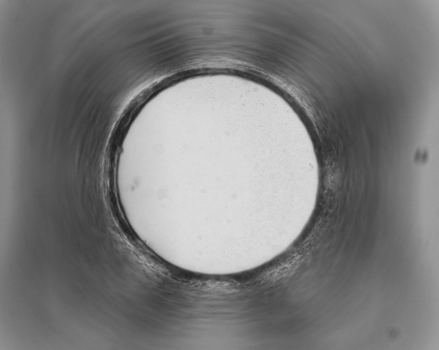 X0000096430979200802211143