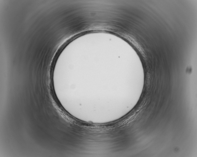 X0000096430980200802211143