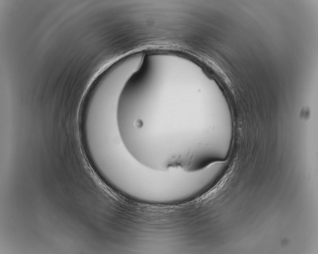 X0000096430981200802211143