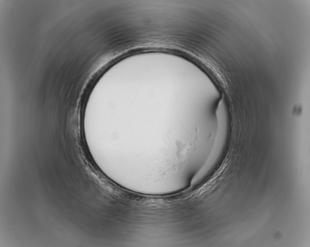 X0000096430982200802211143