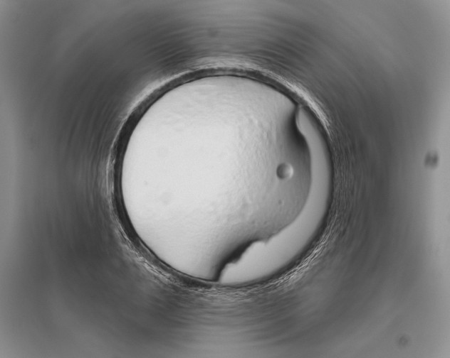 X0000096430983200802211143