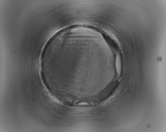 X0000096430984200802211143