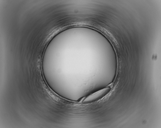 X0000096430985200802211143