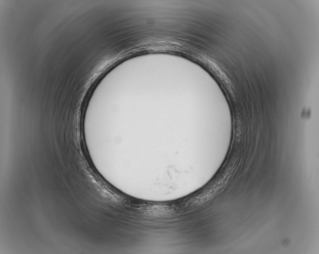 X0000096430986200802211143