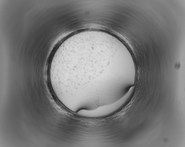 X0000096430987200802211143