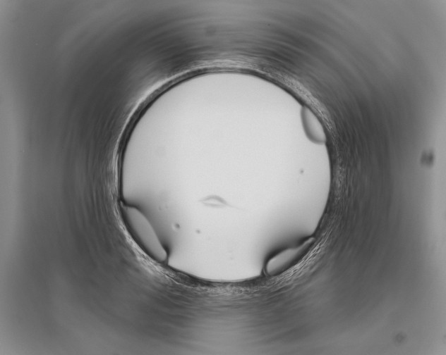 X0000096430988200802211143