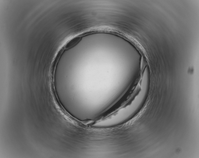 X0000096430989200802211143