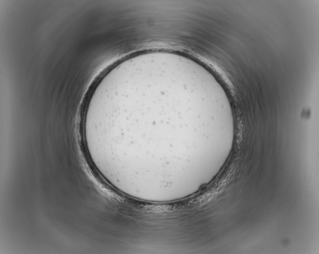 X0000096430991200802211143