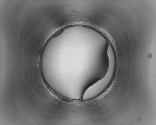 X0000096430993200802211143