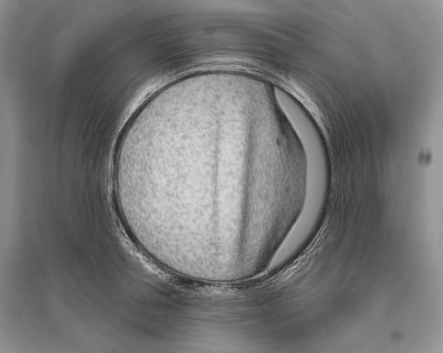 X0000096430994200802211143