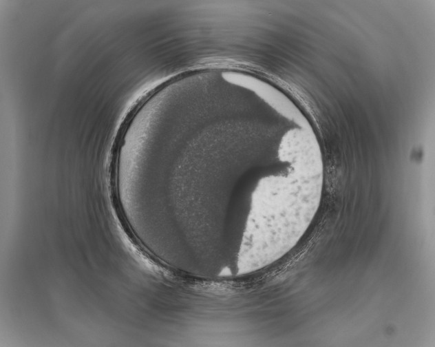 X0000096430995200802211143