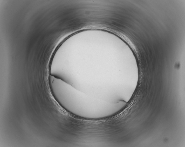 X0000096430996200802211143