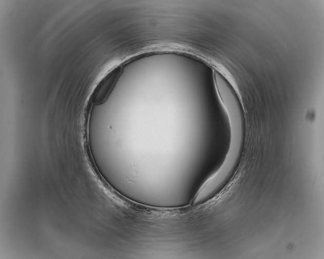 X0000096430997200802211143