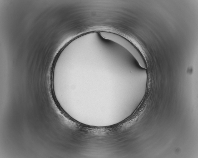 X0000096430999200802211143