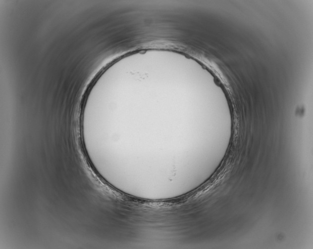 X0000096431000200802211143