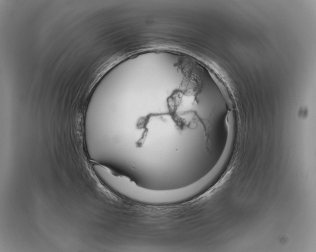 X0000096431001200802211143