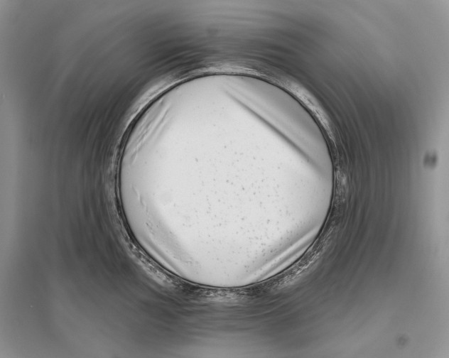 X0000096431002200802211143