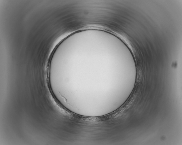 X0000096431003200802211143