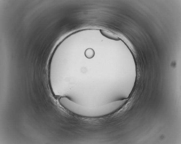 X0000096431004200802211143