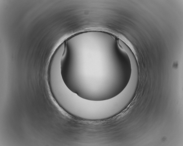 X0000096431005200802211143