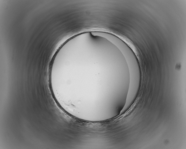 X0000096431006200802211143