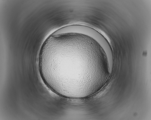 X0000096431007200802211143