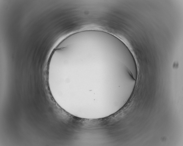 X0000096431008200802211143