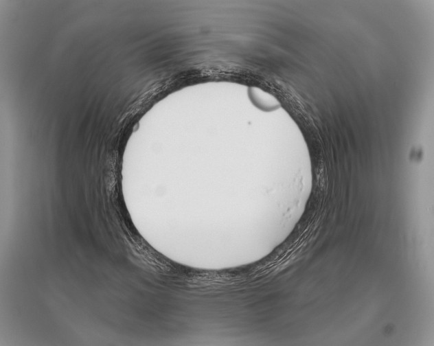 X0000096431012200802211142