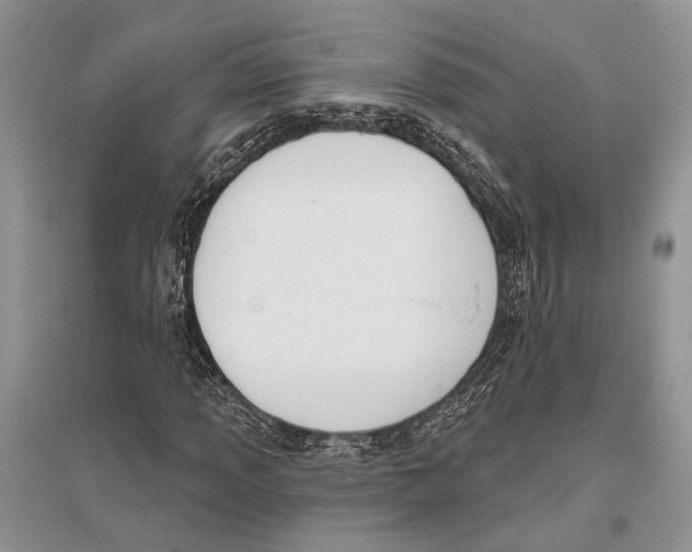 X0000096431013200802211142
