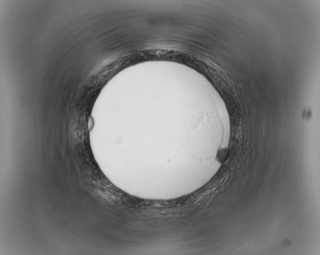 X0000096431014200802211142