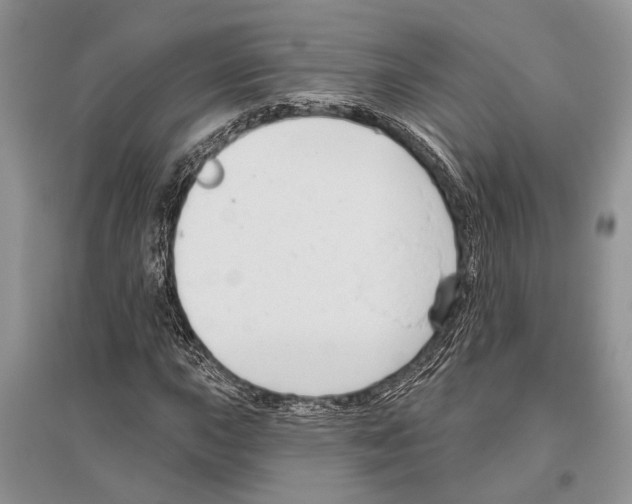 X0000096431015200802211142