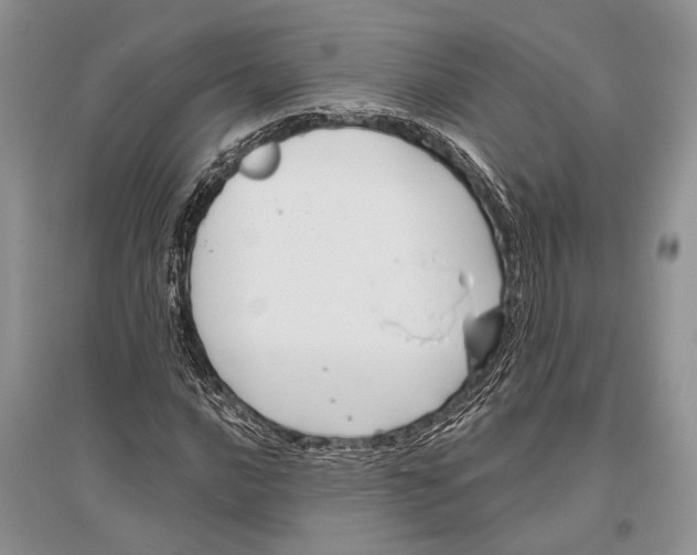 X0000096431016200802211142