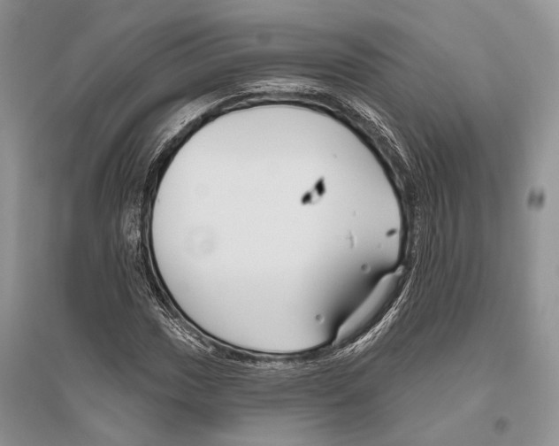 X0000096431017200802211142