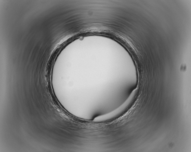 X0000096431018200802211142