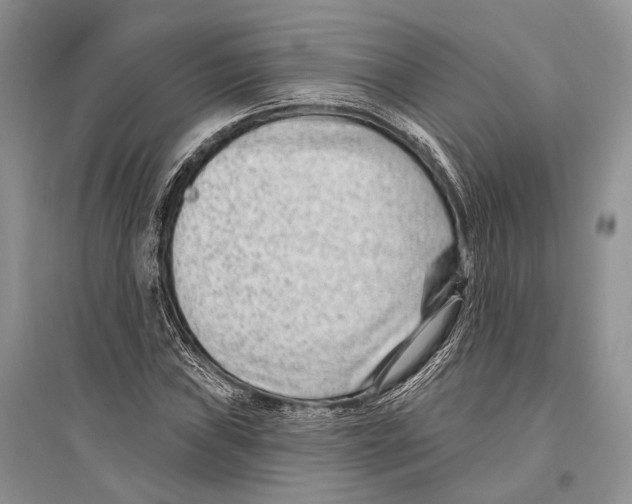 X0000096431019200802211142