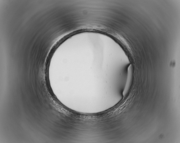 X0000096431020200802211142