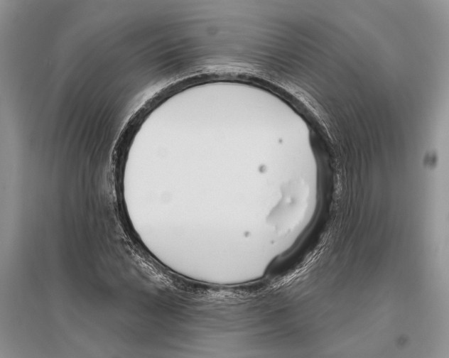 X0000096431022200802211142
