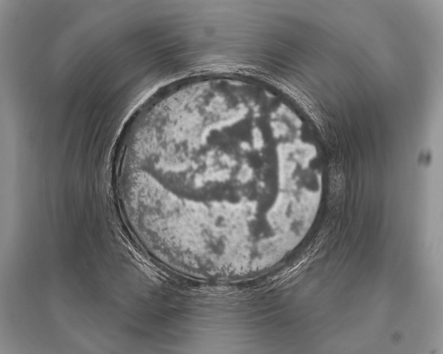 X0000096431023200802211142