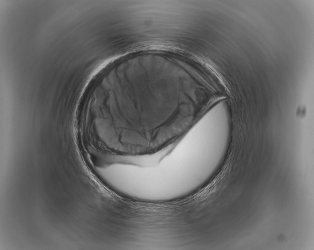 X0000096431024200802211142