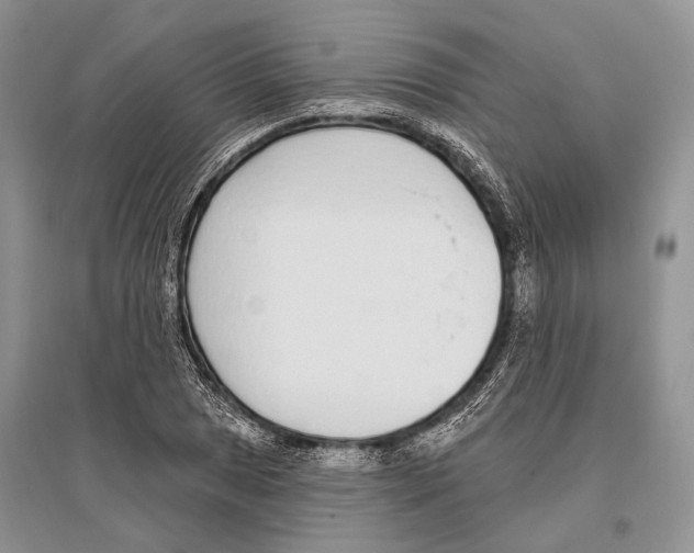 X0000096431025200802211142