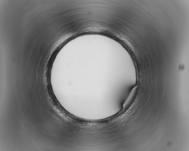 X0000096431026200802211142