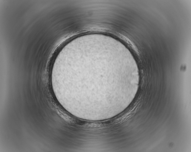 X0000096431027200802211142