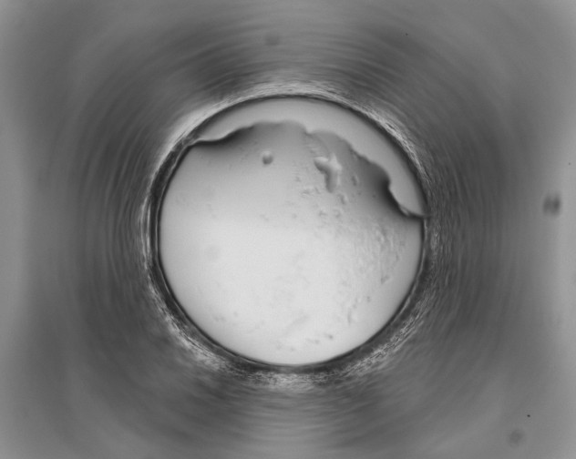 X0000096431030200802211142