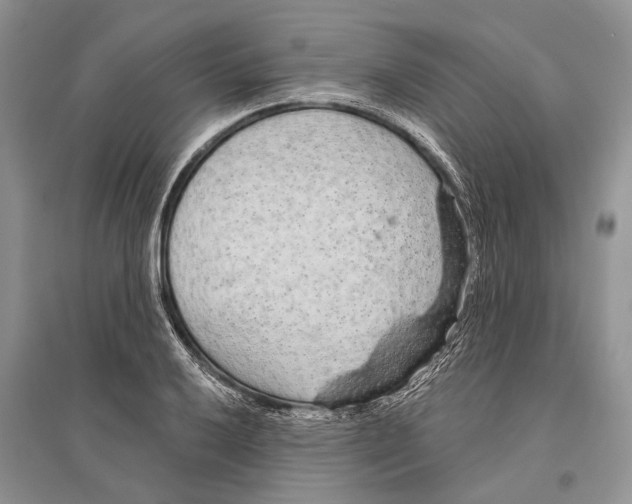 X0000096431032200802211142
