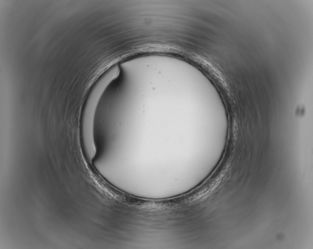X0000096431033200802211142